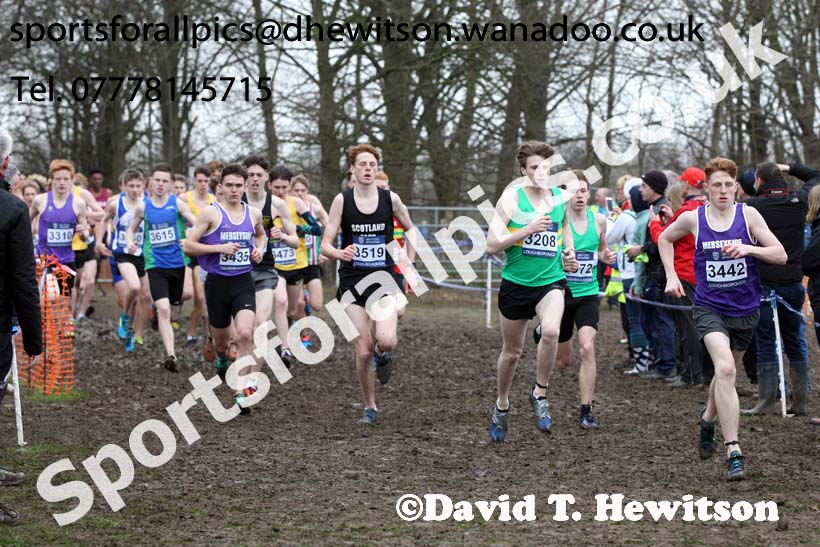 Mens under-17s Inter Counties Cross Country, Prestwold Hall, Loughborough. Photo: David T. Hewitson/Sports for All Pics
